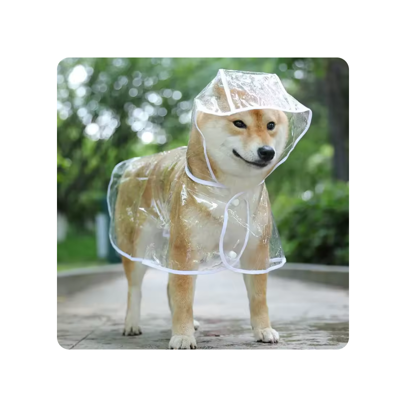 Pet Dog Puppy Transparent Rainwear Raincoat