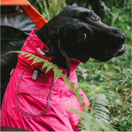 Dog Coats Small Waterproof,Warm Outfit Clothes Dog Jackets